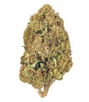 Papaya Bomb